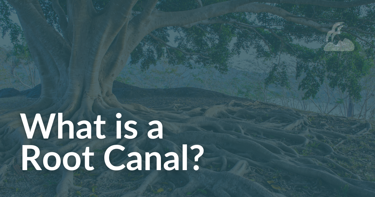 Woodall Blog August 23